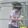 港媒曝锋芝忙离婚 lucas淋雨到发烧无人理(图)