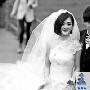 张杰谢娜结婚 曾宝仪大曝“接亲”细节