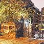 张韶涵与母闹翻留烂帐 拒付400万被起诉(组图)