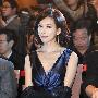 林志玲着性感深V礼服亮相 与刘德华热聊(组图)