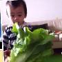 张柏芝次子近照曝光 双手抱白菜“卖萌”惹人爱