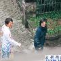 桂纶镁戴立忍欢迁新居 相恋七年疑好事近(组图)