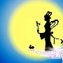 我的高清约会：2009央视中秋晚会群星闪耀