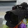 搭配18-105mm镜头 尼康单反D3000新套机