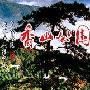 又是一年红叶时 佳能高清DV实战香山美景