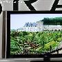 狂降3000元 索尼55英寸液晶低价出售