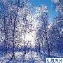 [摄影跟我学]雪景拍摄！教你实用技法（1）