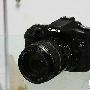 性能出色中端单反 佳能50D实惠套装促销