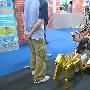 信息展外一章：学习驾驭马车如何倒车