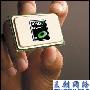 谁将主宰服务器 12核AMD决战6核Intel