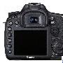 1800像素高速连拍 佳能EOS7D套装促销