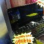 富士Fujitsu LifeBook UH900 真机亮相
