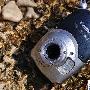 超强10米防水全天候DC！佳能D10促销