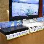 中华电子品牌排行榜揭晓 中国华录荣获创新品牌称号