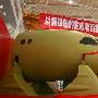 中国的`梦想`C919飞机机头交付