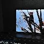 CES2010：索尼展出24.5寸超薄OLED电视