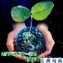 12小时仅需1度电 7款低碳液晶电视推荐