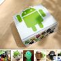 大人也会跟小孩抢的Android公仔开箱文