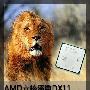 AMD六核添翼DX11 全新3A平台性能揭秘
