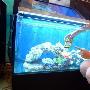 Panasonic 发布新款防水相机 Lumix TS2