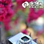 菜鸟攻略 如何用卡片机拍出漂亮照片?