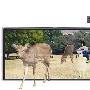 Sharp将在今年推出裸视3D Smartphone与3D手机镜头