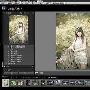 RAW处理利器 Lightroom 3实际操作解释