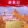 西域风情 神秘阿拉伯花纹VAIO E详评