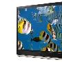 想买大OLED尺寸电视的愿望终于可以实现了吗？LG将于IFA展中秀一秀31寸机种