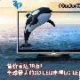 售价高达19万 体验全球最大3D-LED电视