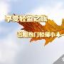 享受轻盈之旅 近期热门轻薄小本一起看