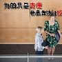 为的只是方便 各品牌热门轻薄本大搜罗