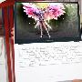 LG Xnote P210 号称拥有「世界最薄的笔电边框」？
