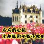 太太有心机 出差旅游必备小家电推荐
