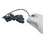 微软光学红光鲨鼠标（IO1.1）停产