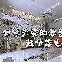 白领夫妻的最爱 超值整套家电组建方案
