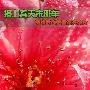 搭上春天末班车 编辑教你拍摄花卉大片