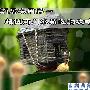 蜗居实用第一 超值两门冰箱选购攻略