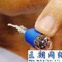 日本研发会游泳的内视镜