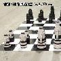 这样下棋才过瘾 32只佳能尼康镜头对战