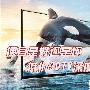 便宜是好还是坏 低价3D电视深度解读