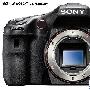 香港卖8K 索尼A77/A65/NEX-5N售价公布