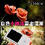 白色小纯洁重出江湖 艾利和E300评测