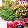 12倍光变小长焦 佳能SX150IS全面评测
