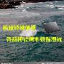 极致轻薄便携 各品牌轻薄本领衔潮流