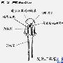 LED背光电视哪个好？18款液晶电视横评