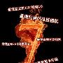 七大种类各种最便宜 数码相机还能有多贱