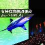 支持在线视频播放 索尼S780播放机试用