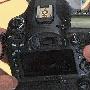 5D3还是7D2 佳能神秘单反于肯尼亚曝光