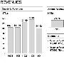 HTC 发布 2011 年第四季和全年财报：夏天很热，冬天很冷